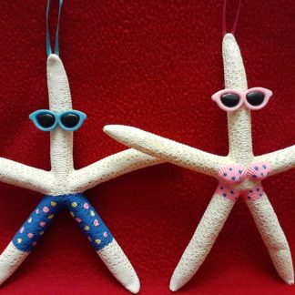 Starfish Beach Couple